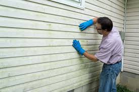 Affordable Siding Repair and Maintenance Services in Haiku Pauwela, HI